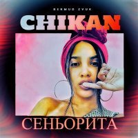 Постер песни Chikan - Сеньорита