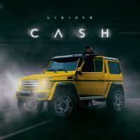 Постер песни LISICYN - Cash