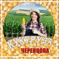 Постер песни Виктория Черенцова - Мысли радуги