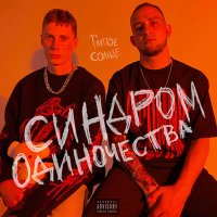 Постер песни ГЛУПОЕ СОЛНЦЕ - 13,42