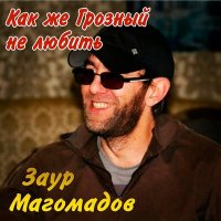 Постер песни Заур Магомадов - За Хасана