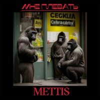 Постер песни Mettis - Мне плевать