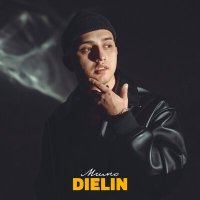 Постер песни Dielin - Мимо