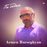 Постер песни Armen Barseghyan - Ты одна
