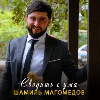 Постер песни Шамиль Магомедов - Сводишь с ума