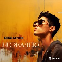 Постер песни Аслан Борсов - Не жалею