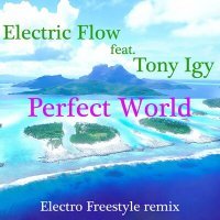 Постер песни Electric Flow, Tony Igy - Perfect World (Electro Freestyle Remix)