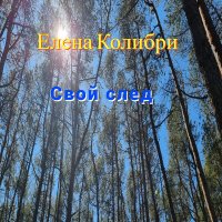Постер песни Елена Колибри - Сквозь ночь