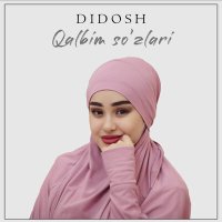 Постер песни Didosh - Qalbim so'zlari