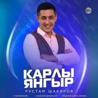 Постер песни Рустам Шакиров - Карлы янгыр