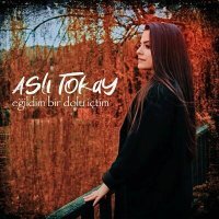 Постер песни Aslı Tokay - Eğildim Bir Dolu İçtim