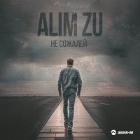 Постер песни Alim Zu - Не сожалей