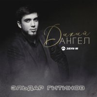 Постер песни Эльдар Гитинов - Дикий ангел