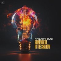 Постер песни Freaky DJs - Somewhere In The Shadow