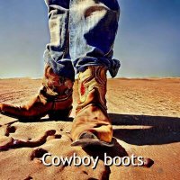 Постер песни Party Hard - Cowboy boots