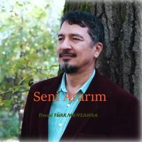 Постер песни Deveci Türkmensahra - Seni Ararım