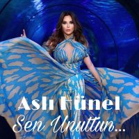 Постер песни Aslı Hünel - Sen Unuttun