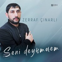 Постер песни Zerraf Çinarli - Seni Deyismerem