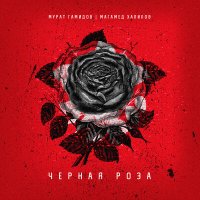 Постер песни Магамед Халилов - Чёрная роза