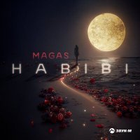 Постер песни Magas - Habibi
