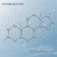 Постер песни НУТРИИ ВНУТРИ - Тестостерон