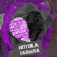 Постер песни NITI DILA - Я тебя забыла я тебя не помню (Ремикс)