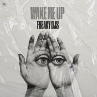 Постер песни Freaky DJs - Wake Me Up
