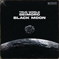 Постер песни True World, seimoro - BLACK MOON