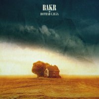 Постер песни Bakr - Нотная слеза