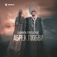 Постер песни Шамиль Тлепцерше - Абрек любви