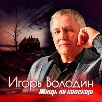 Постер песни Игорь Володин - Жить по совести