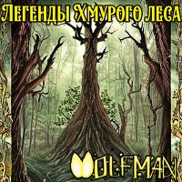 Постер песни volfman - Старый маг