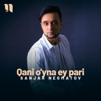 Постер песни Sanjar Negmatov - Qani o'yna ey pari