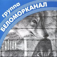 Постер песни Беломорканал - Дочурка
