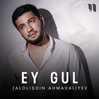 Постер песни Jaloliddin Ahmadaliyev - Ey gul