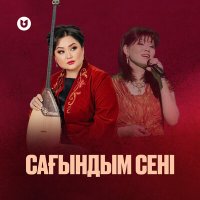 Постер песни Роза Әлқожа & Ажар Түзелбекқызы - Сағындым сені