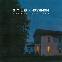 Постер песни XYLØ, HXVRMXN - UNAMERICAN BEAUTY (REMIX)