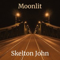Постер песни Skelton John - Moonlit