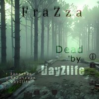 Постер песни Frazza - DayZlife