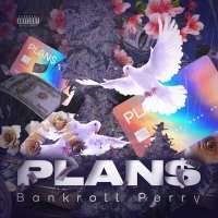 Постер песни Bankroll Perry - PLAN$