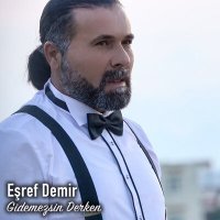 Постер песни Eşref Demir - Gidemezsin Derken