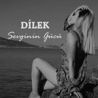 Постер песни DİLEK - Sevginin Gücü