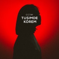 Постер песни C.C.TAY - Tusimde korem