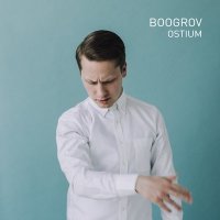 Постер песни Boogrov - Swarm