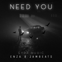 Постер песни ENZA, Jambeats - Need You