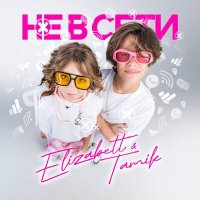 Постер песни Elizabett, Tamik - Не в сети