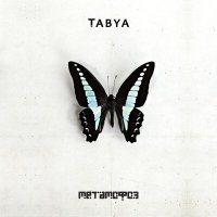 Постер песни Tabya - Сталь