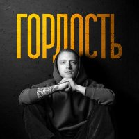 Постер песни R.Riccardo - Гордость