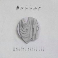 Постер песни Wellay - Пройдёт много лет