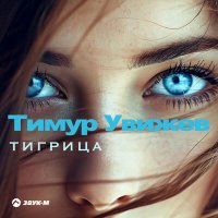 Постер песни Тимур Увижев - Тигрица